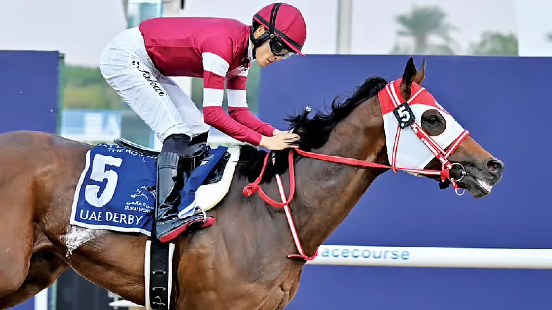 Dubai World Cup 2026: Millions on Every Stride | Die Geissens Real Estate | Luxus Immobilien mit Carmen und Robert Geiss – Die Geissens in Dubai